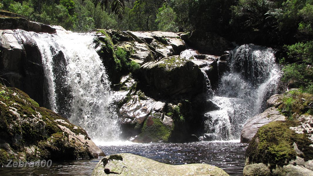 02-Halls Falls in the Blue Tiers.JPG